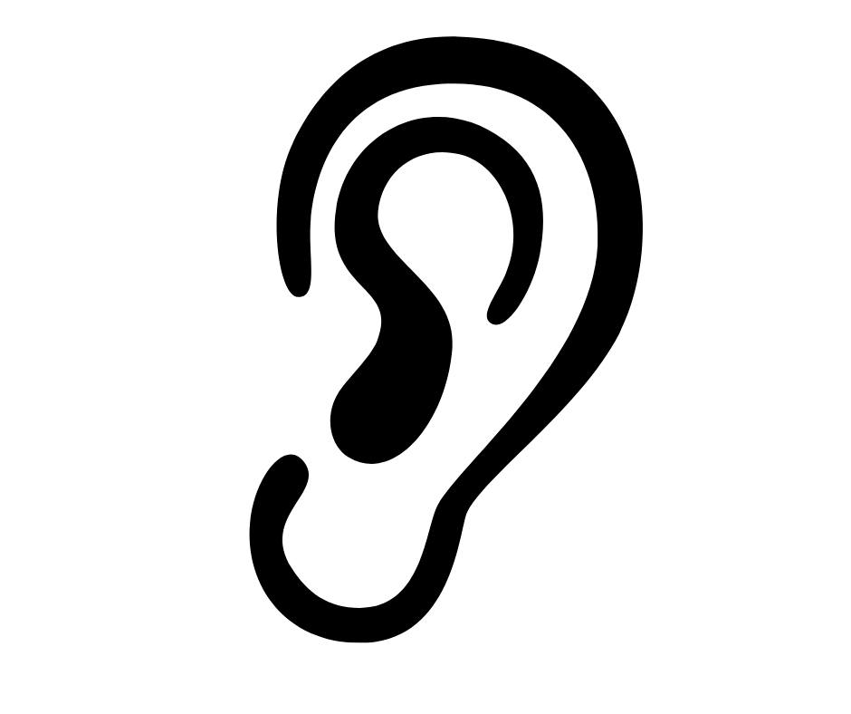 Image of an ear